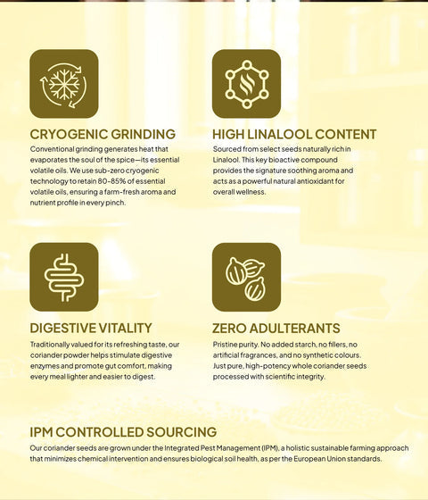 Coriander Powder | Premium Quality | Cryogenically Ground