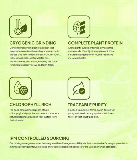 Moringa Powder | Premium Quality  | Cryogenically Ground